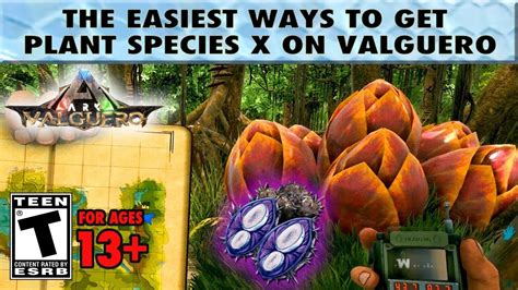 Easy Plant Species X Seeds On Valguero Youtube