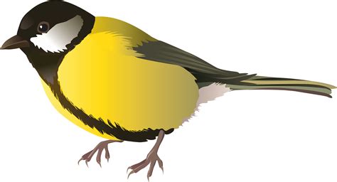 Homely Ideas Bird Clipart Cartoon Bunny Yellow Png Yellow Bird Clip