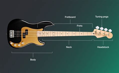 How To Play Bass Guitar Learn Bass In 8 Steps Yousician