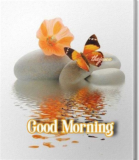 Two Butterflies Sitting On Top Of Rocks With The Words Good Morning In