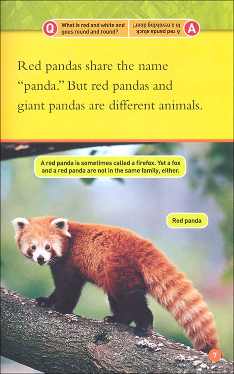 Red Pandas National Geographic Reader Level 1 National Geographic