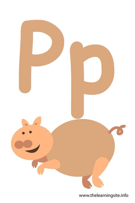 Letter P Flashcard Pig The Learning Site