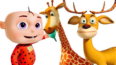 Five Little Babies Went To A Zoo Cartoon Animation For Children