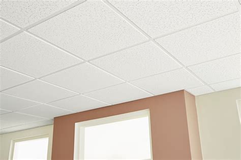 Mobile Home Ceiling Panels Lowes Review Home Decor