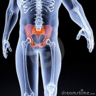 Bones - Skeleton project