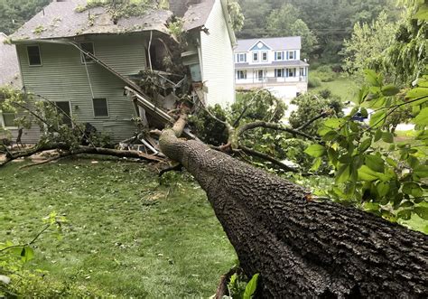 Large Tree Falls On Penn Township Home Trapping Man In His Bed
