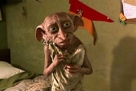 Pin By Fred And George Weasly On Dobby Elf House Harry Potter