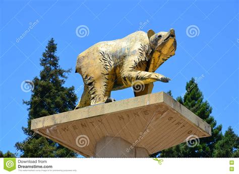 Golden Bear Statue Uc Berkeley Editorial Photography Image Of Bears
