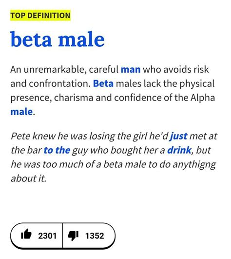 Beta Male An Unremarkable Careful Man Who Avoids Risk And