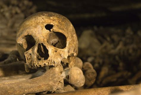 Cardiovascular Disease Found in 3,000-Year-Old Sudanese Skeleton