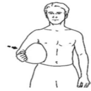Shoulder Bursitis Exercises Reflex Health