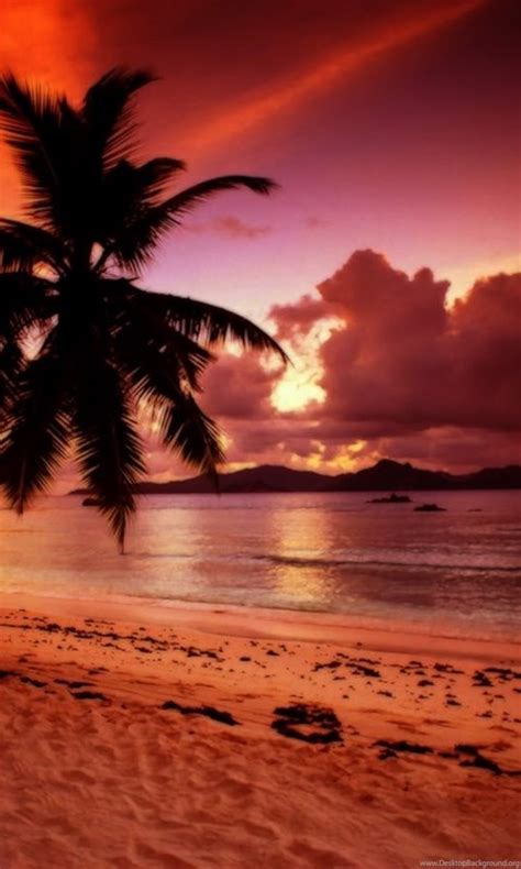 Tropical Beach Paradise Sunset Wallpaper Desktop Background