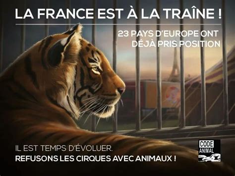 Cirques Campagne Contre La Présence Danimaux Sauvages Sciences Et