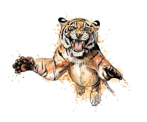 Premium Vector Portrait Of A Tiger Jumping From A Splash Of