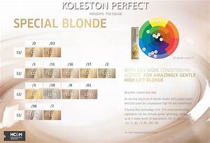 Wella Professionals Koleston Perfect Presents The Color Special