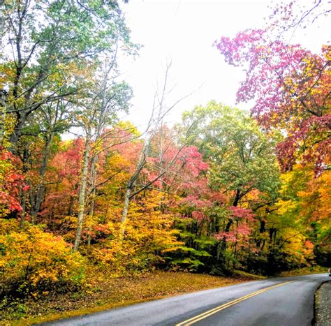 Fall Foliage On The Blue Ridge Parkway Blue Ridge Parkway Fall