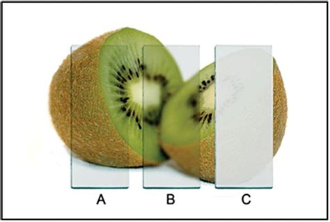 Clear window , transparent glassa translucent object lets only some light go through (not all)and forms a shadow. Download High Quality translucent vs transparent opaque ...