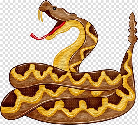 Clipart Boa Constrictor 10 Free Cliparts Download Images On