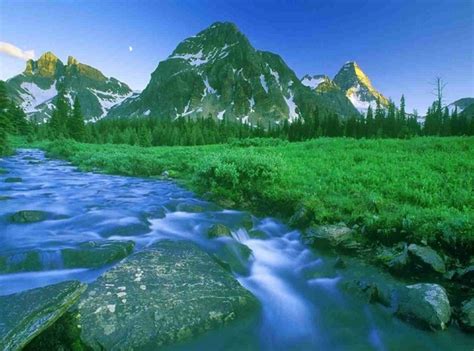 4 Manfaat Dan Kelebihan Mata Air Pegunungan