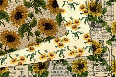 Vintage Sunflower Digital Paper 291008 Patterns Design Bundles