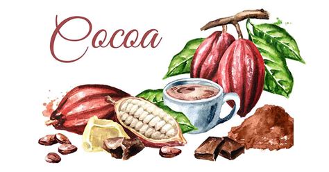 11 Types Of Chocolate And Cocoa Products Nutrition Advance