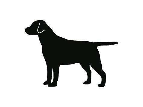 Free Labrador Clipart Black And White Download Free Labrador Clipart