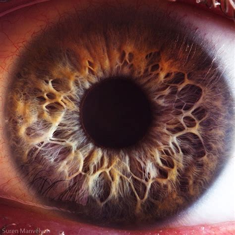 16 Extremely Detailed Closeups Of The Human Eye