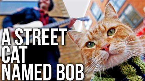 A Street Cat Named Bob 2016 Youtube