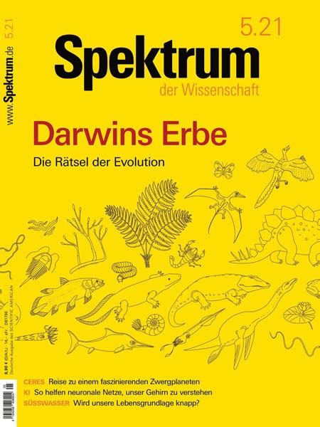 Spektrum Der Wissenschaft 052021 Download Pdf Magazines Deutsch Magazines Commumity
