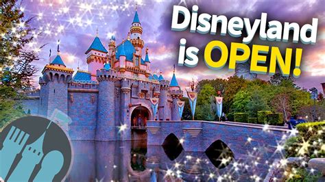 Disneyland Is Open Youtube
