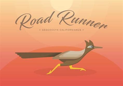 Roadrunner Vector Art Icons And Graphics For Free Download