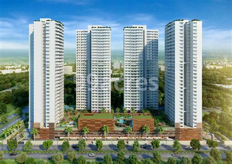 Kalpataru Limited Kalpataru Radiance Photos And Videos Goregaon West