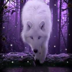 Purple White Wolf With Purple Eyes 369802 Hd Wallpaper