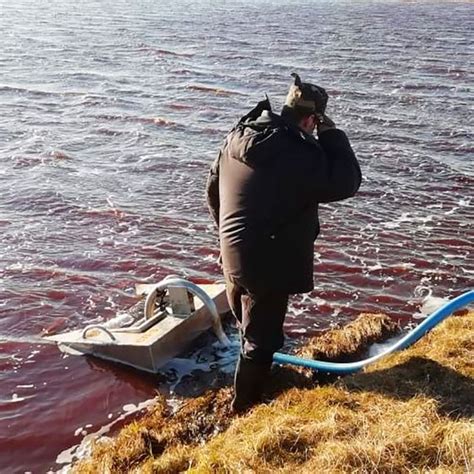 arctic circle oil spill creates state of emergency in russia