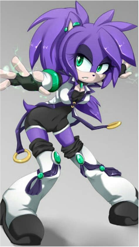 Purple Hedgehog Sonic Oc Silver The Hedgehog Shadow The Hedgehog