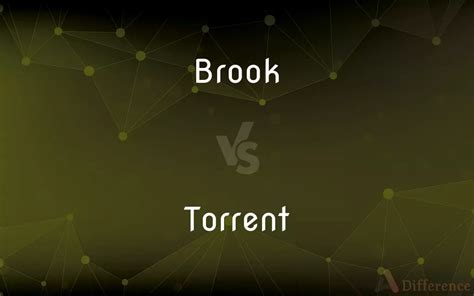 Brook Vs Torrent Whats The Difference