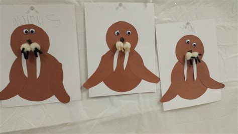 Our Walrus Project Winter Preschool January Activities Preschool
