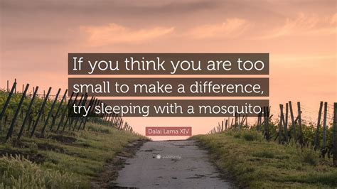 His holiness offers advice on how to deal withpesky insects, in conversation with bill moyers. Dalai Lama XIV Quote: "If you think you are too small to make a difference, try sleeping with a ...
