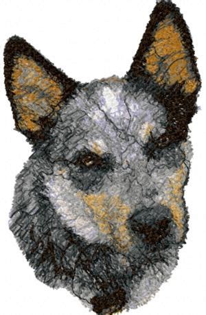 This is due to the increased traffic to our website in those days. Advanced Embroidery Designs - Australian Cattle Dog