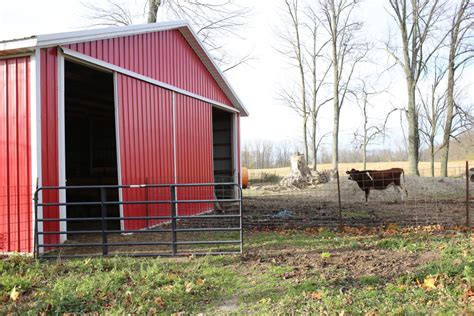 Advantages Of Pole Barns For Livestock
