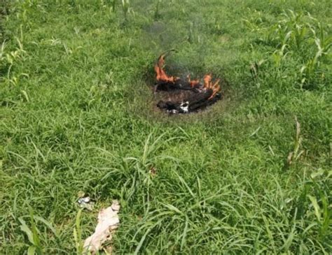 The pilot died in the accident and the search operation for body is underway. MiG-21 crashes in Kangra, pilot killed | India Sentinels ...