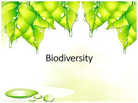 Biodiversity Ppt Template Free Download Printable Templates