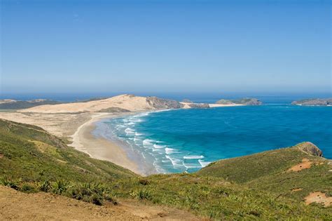Best Beaches In New Zealand Traveladvicor