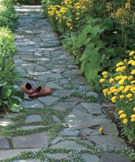 On A Budget Plants And Ground Cover For Your Walkways 39 Backyard