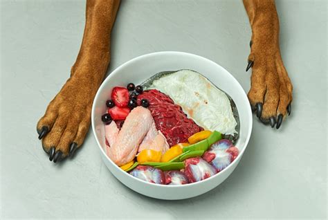 No, the custom meal plan packages do not include any raw food or supplements. Strip District Meats » Raw Diet for Dogs