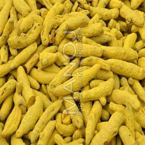 Dried Rich In Taste Healthy Yellow Turmeric Finger Grade Food Grade At