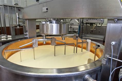 Automatic Cheese Making Machine Stainless Steel Material Efficient