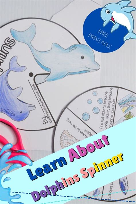 Learning About Dolphins Activities For Kids And Free Printable In