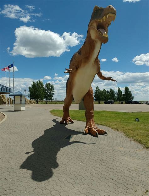 Tyrannosaurus Rex Milk River Alberta Dinosaur Statues On