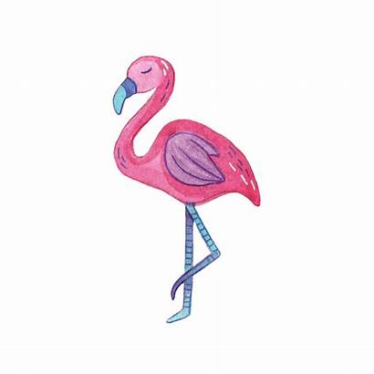 Flamingo Bird Giphy Stickers Bautista Rey Sticker